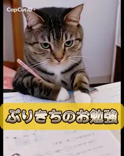 ぷりきちのお勉強スタイル