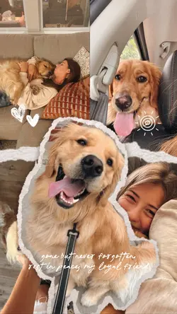 pet memorials