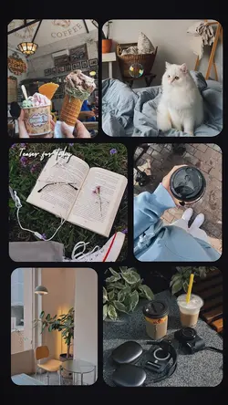 6 PIC