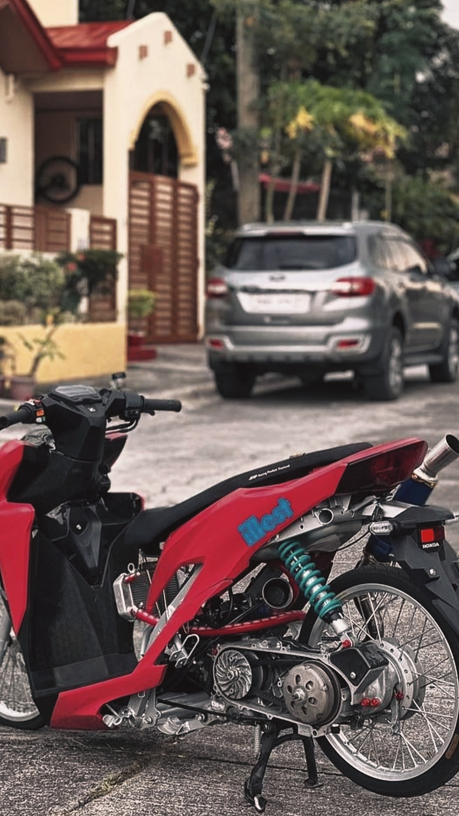 Cover Picture
