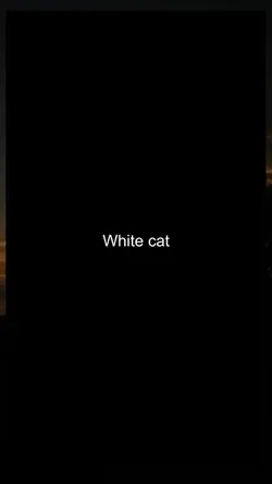 white cat core