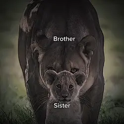 #BrotherVsSister