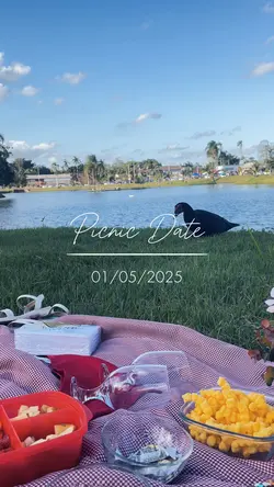 PicNic date