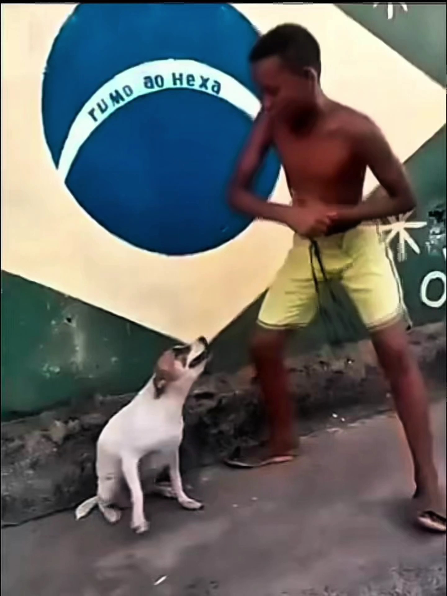 dog tending edit 