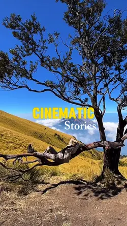 cinematic stories