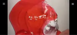 반모자