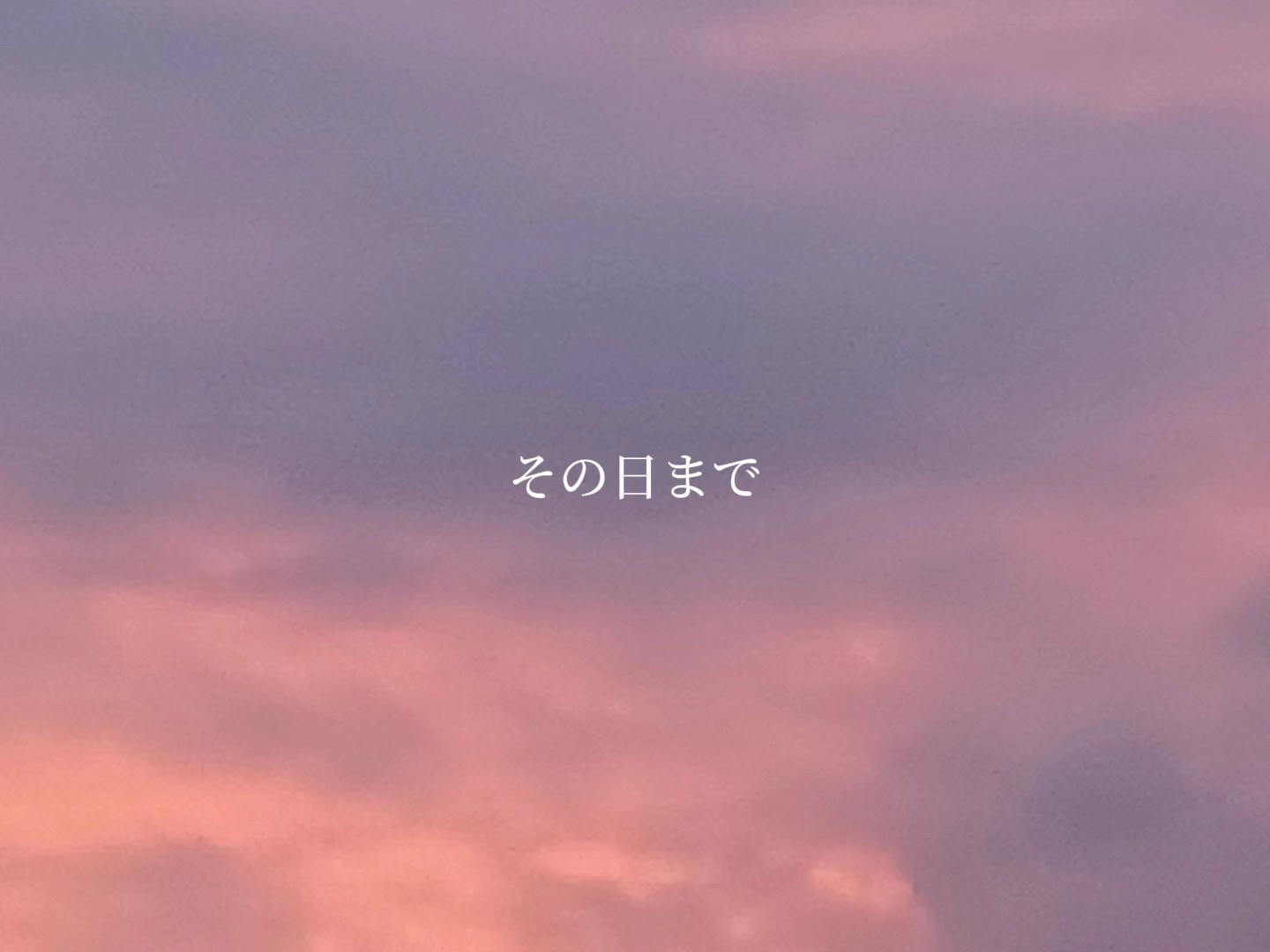 写真1枚です！初投稿です