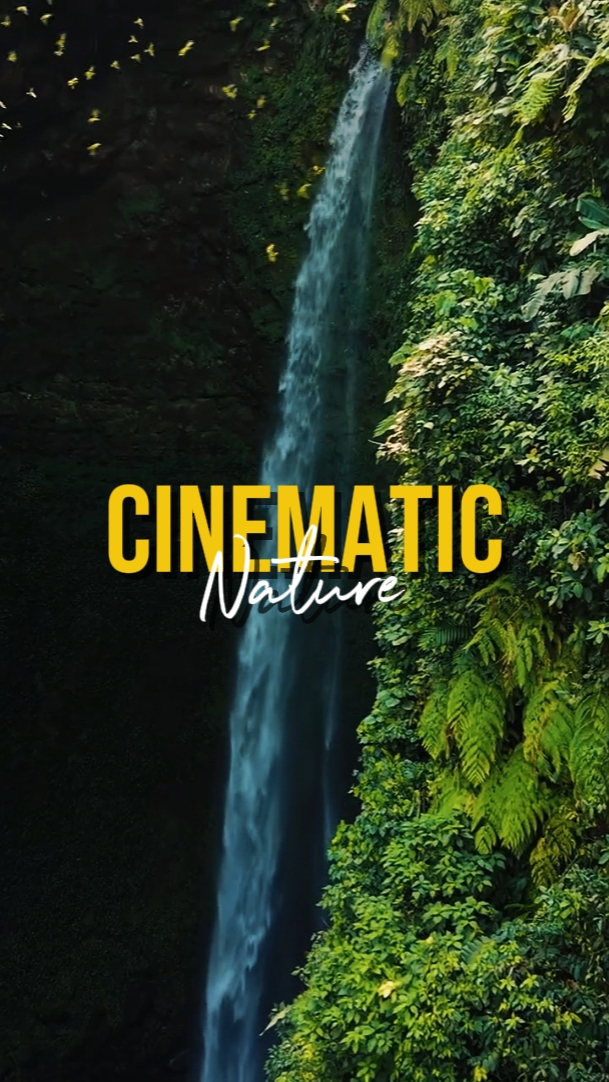 NATURE CINÉMATIQUE
