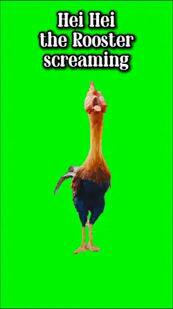 Hei Hei the Rooster
