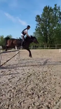 SHE FLY
