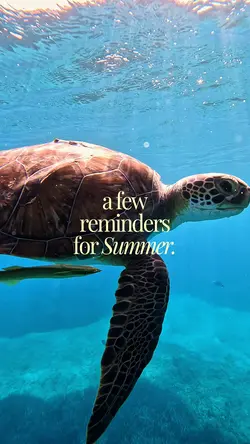 summer 2026