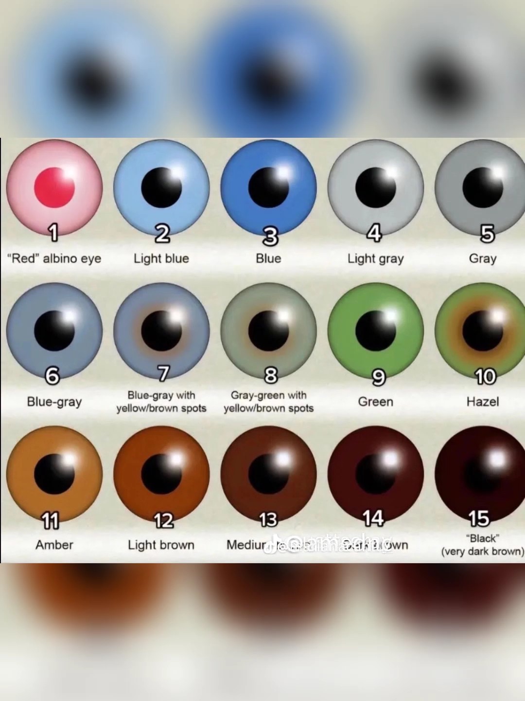 Couleur de tes yeux