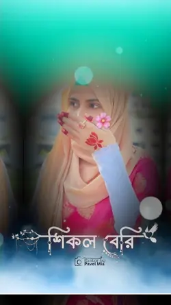 শিকল বেড়ি দিলাম আমি 