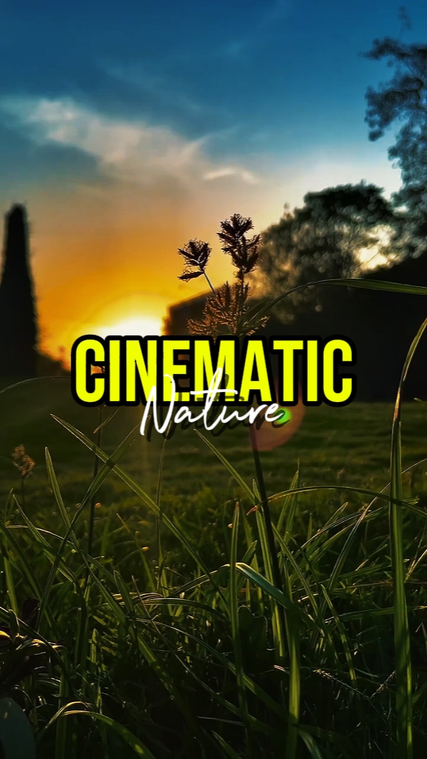 NATUREZA CINEMÁTICA