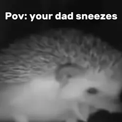 Pov your dad sneezes