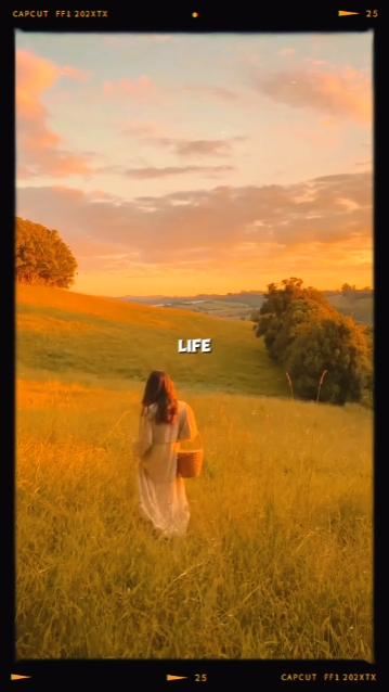 Life is brief 