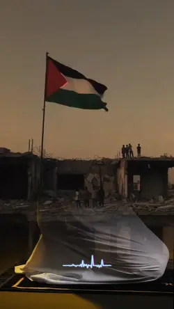 Free Palestine
