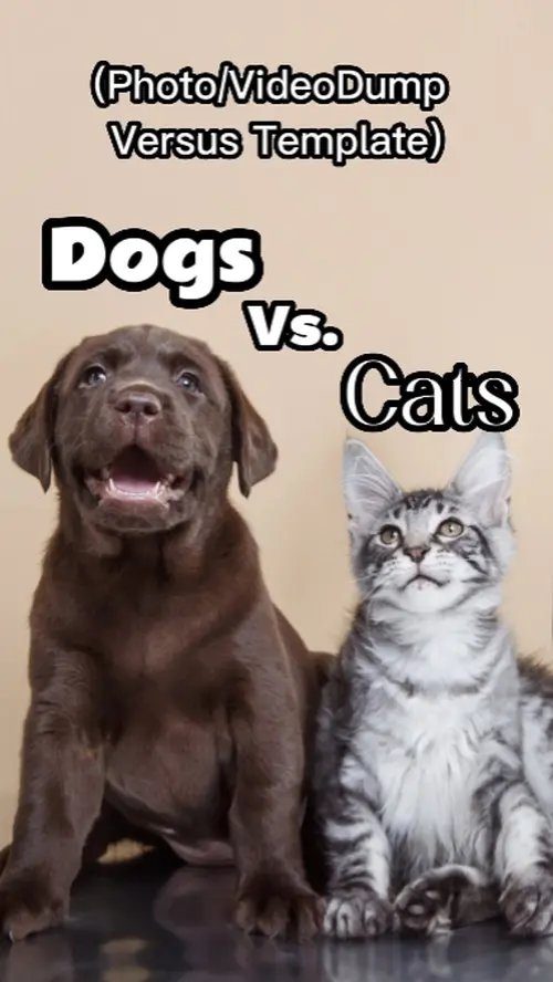 Katzen vs. Hunde 