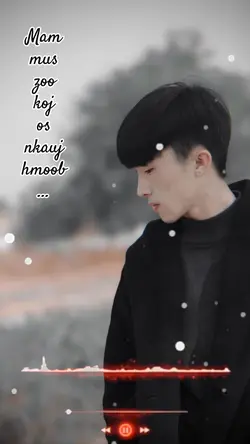 Mam mus zoo koj os 