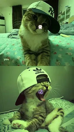 COOL MING MING 