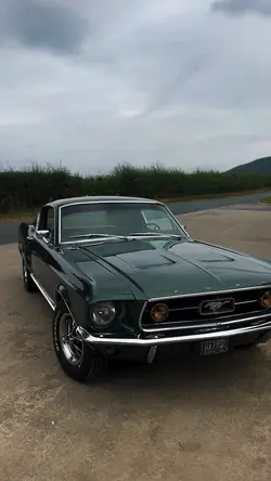 MUSTANG CLÁSSICO 