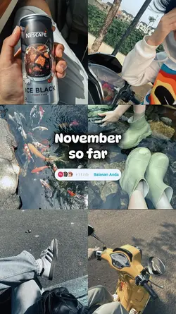 November so far