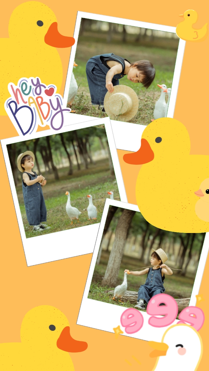 Días de verano de patos