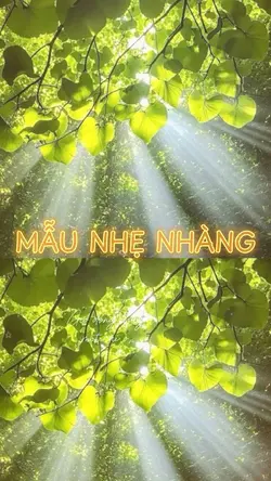 MẪU NHẸ NHÀNG