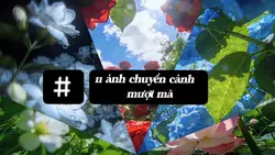 Mẫu 11 ảnh nhẹ nhàng