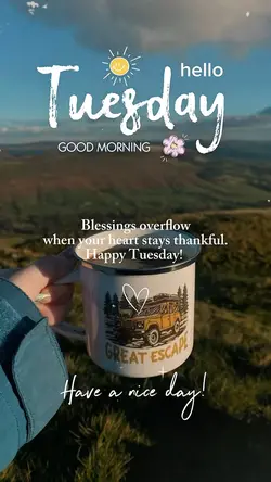 Hello Tuesday 🍃