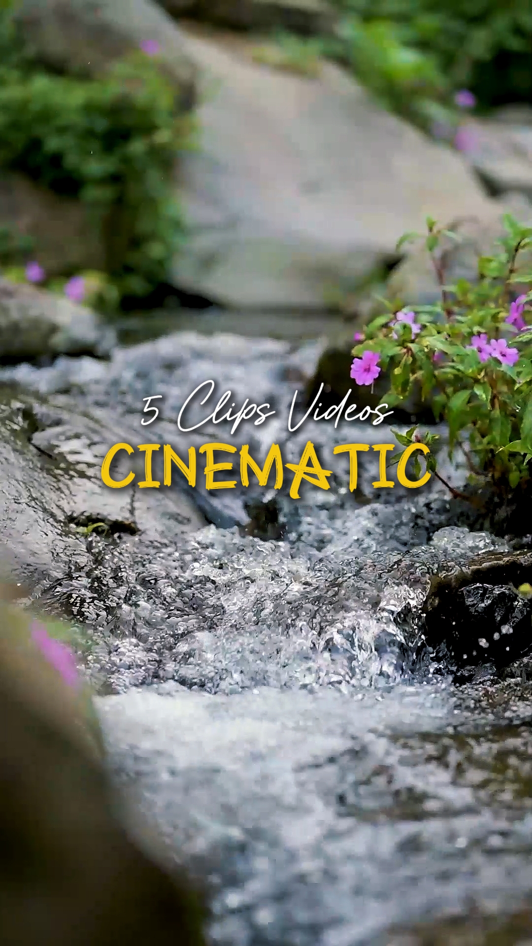 Cinématique 5 Vidéos
