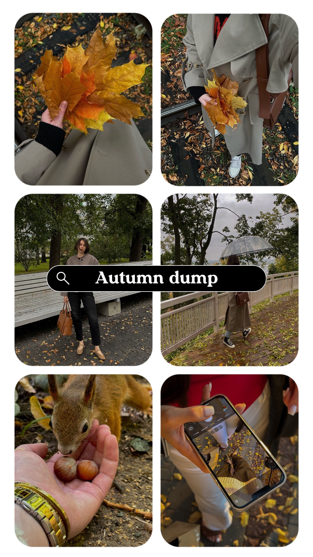 Herbstkippe