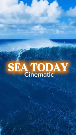 SEA || 25video