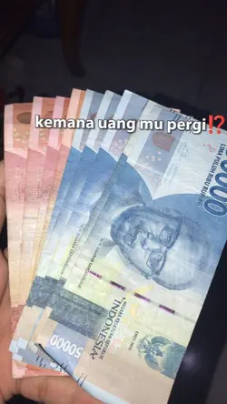 kemana uangmu pergi?