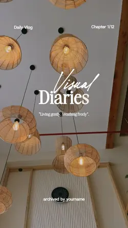 Visual Diaries