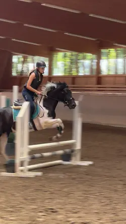 Horse jumping