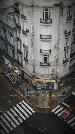 Phố hoa lệ hoa cho 