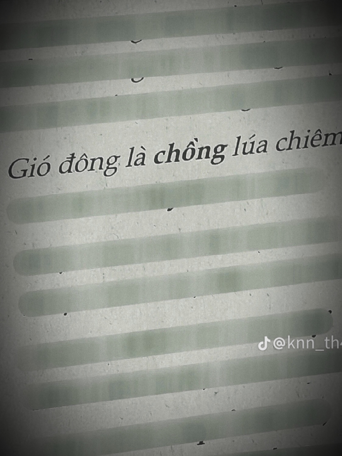 Gió đông là chồng