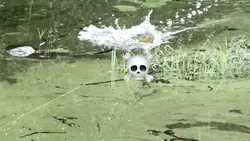 Fishing edit