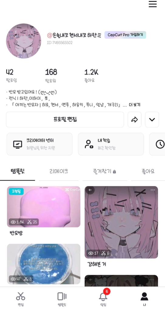채원이 홍보오