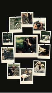 Quadro Polaroid