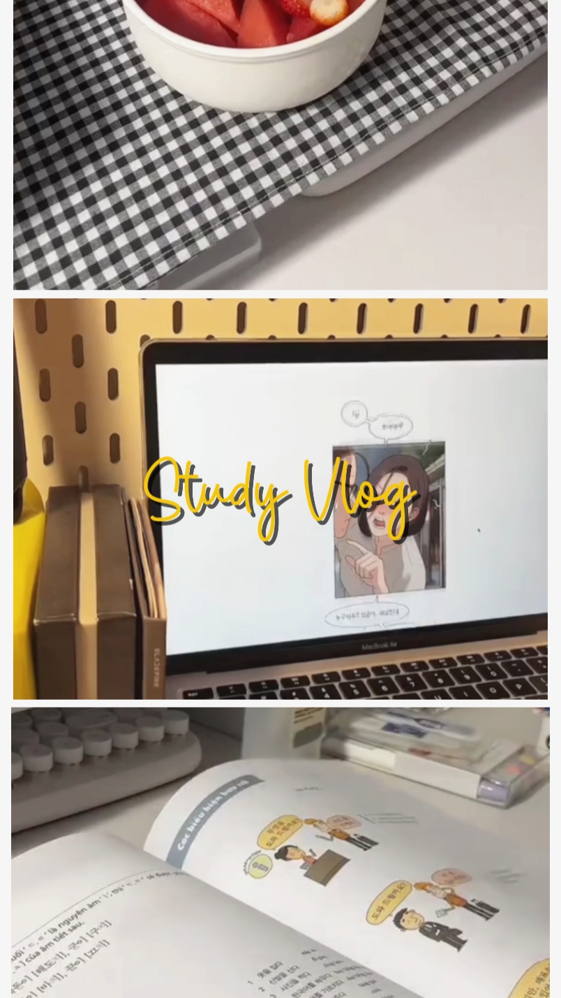 Vlog de estudo 