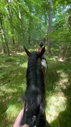 Horse slowmo