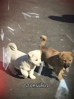 เพราะฉันมีเธอคนเดียว