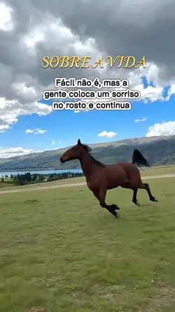 cavalo 