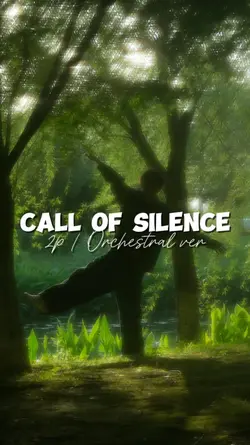 CALL OF SILENCE