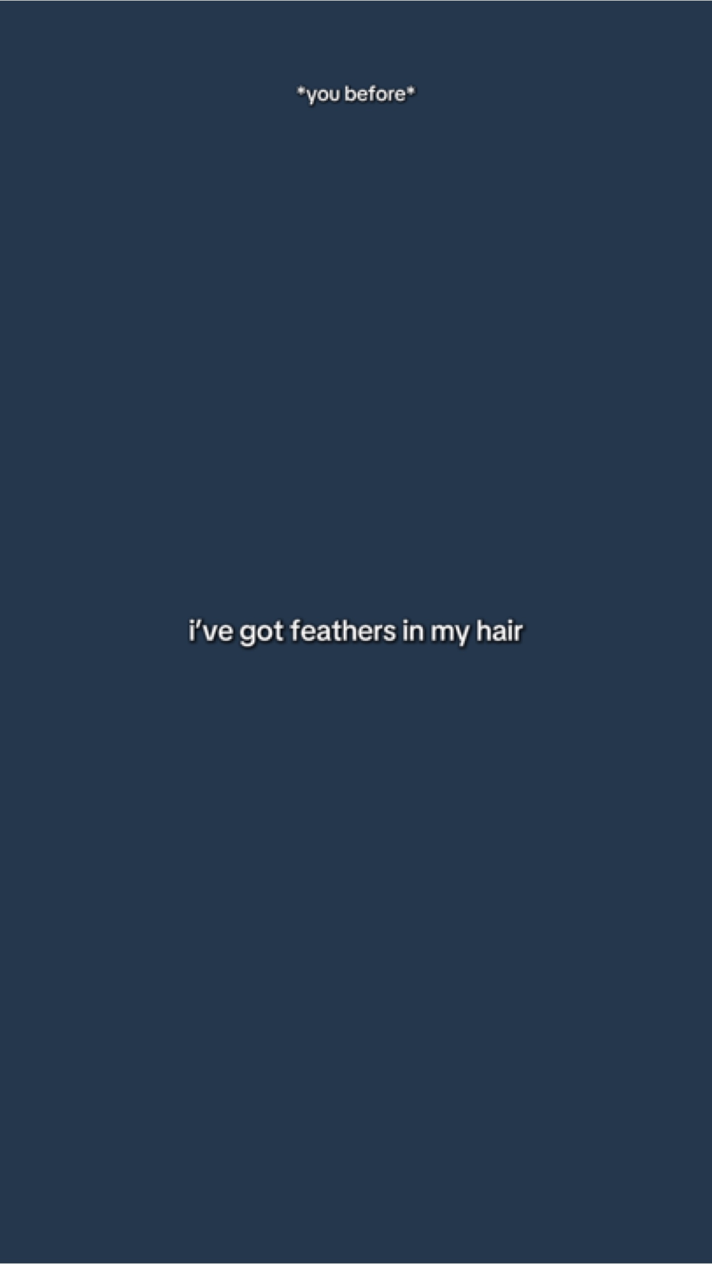 FedernInMyHaar