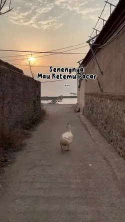 Teks Bisa Di Ganti 