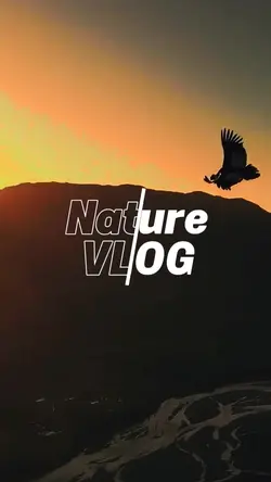 Nature vlog 