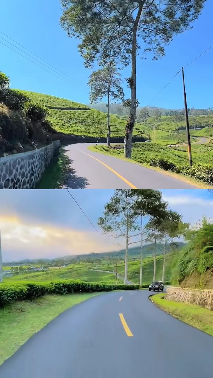 1 diseño 2 video
